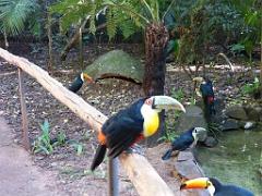 101PARC AUX OISEAUX DANS L AIN 2016 1_000042